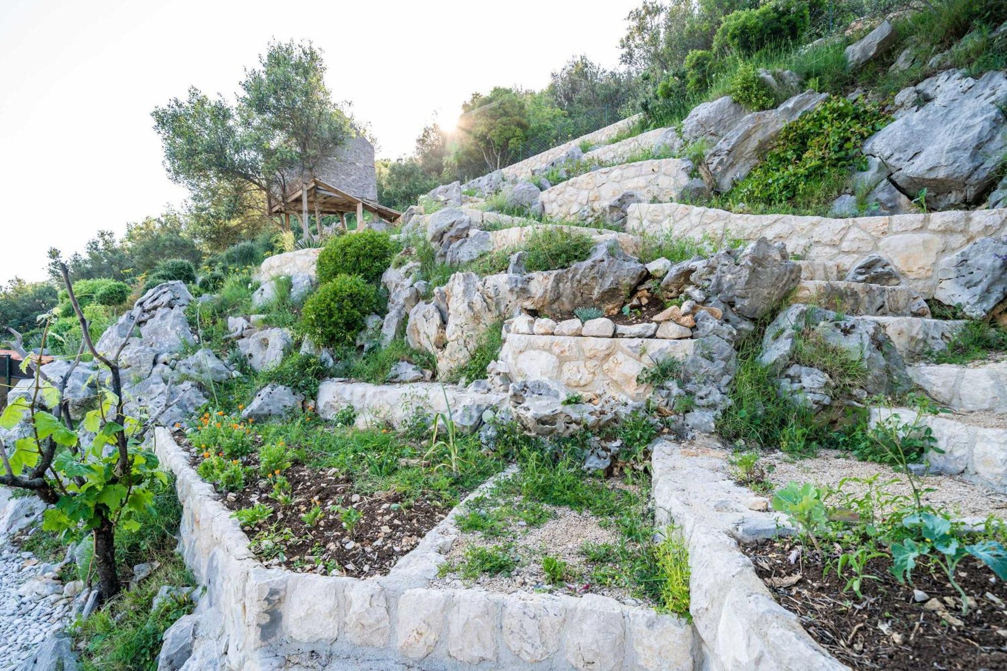 Apartments Villa Arcadia Dubrovnik Cameră foto